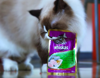 Whiskas #Kittylicious Video Contest