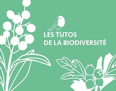 Les tutos de la biodiversité