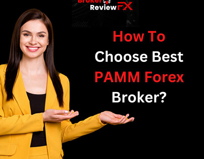 How To Choose Best PAMM Forex Broker?