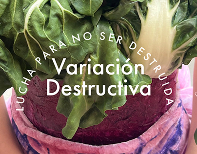 DISO1414- Variación Destructiva
