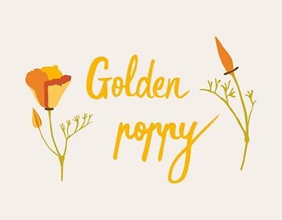 Golden poppy