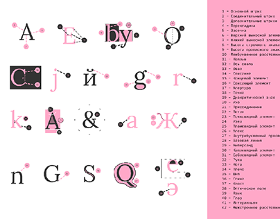 The anatomy of typography