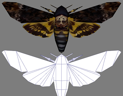 Death Head Hawkmoth - 3D Model