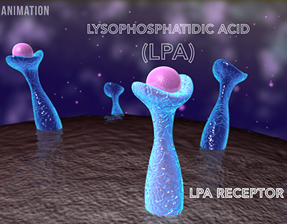 LPA receptor animation