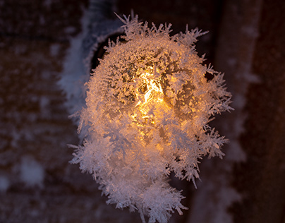 Frozen light bulb with snowflakes in a wooden building.