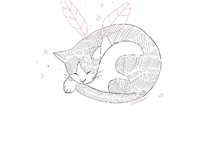 Sleeping fairy cat