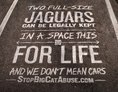 Jaguar Parking