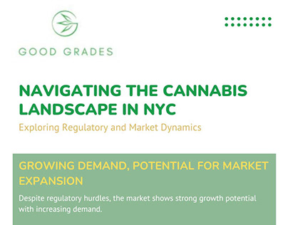Navigating the Cannabis Landscape in NYC