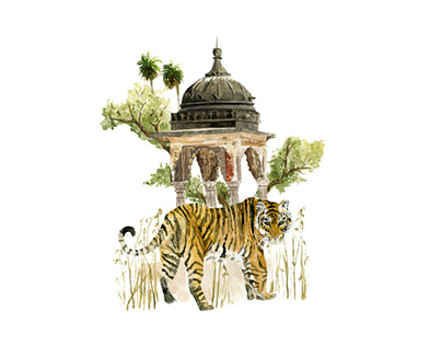 Ranthambore | Cover and book illustrations