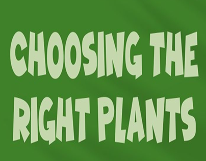 A Guide to Expert Plant Selection for Your Garden