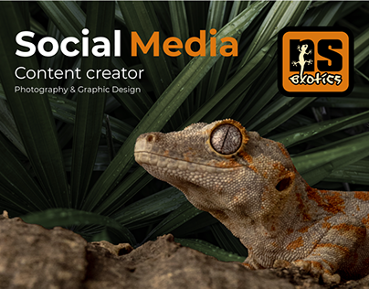 Social Media Content Creator - Reptile Kennel