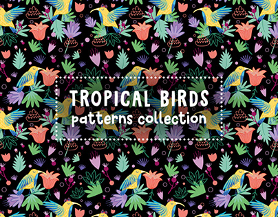 Tropical birds / patterns collection
