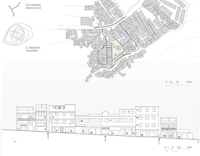 Architecture Polimi Course - Final project - Rocinha