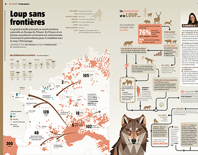 Infographie Loup (La Salamandre no276)
