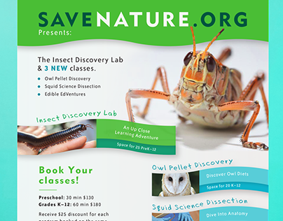 Insect Discovery Lab Program Flyers