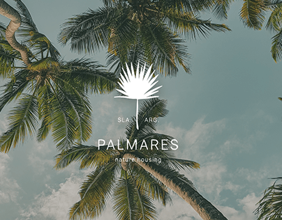 Project thumbnail - Palmares - Branding