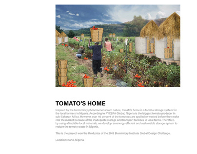 Tomato's home
