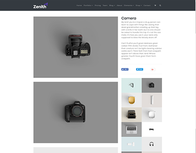Gallery Post - Zenith WordPress Theme