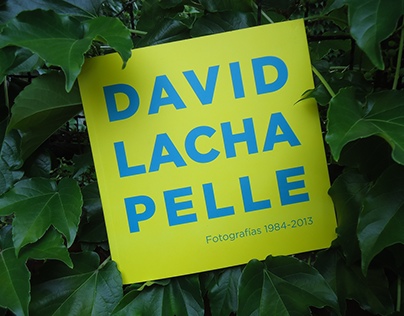 DAVID LACHAPELLE | Exhibition Catalog