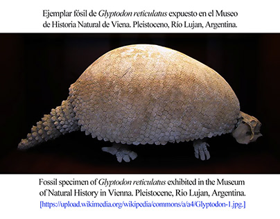 THE RECORD OF Glyptodon IN THE PLEISTOCENE OF VENEZUELA