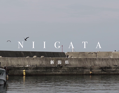 Niigata Cinematic Travel Video
