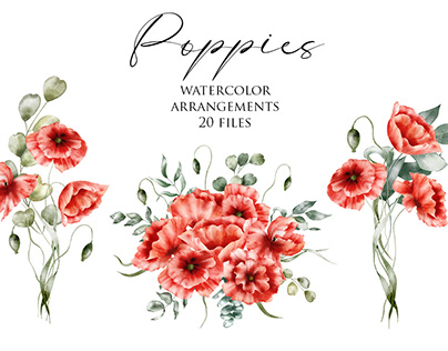 Watercolor floral clipart – Poppies arrangements