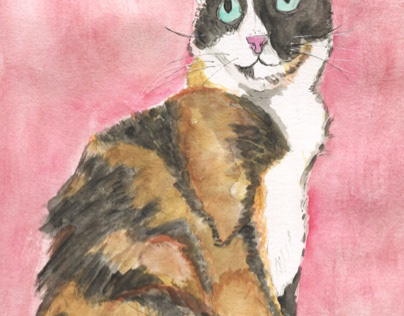 Kitty Portrait