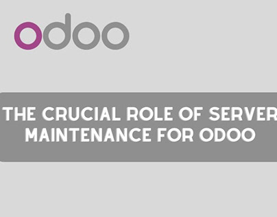 The Crucial Role of Server Maintenance for Odoo