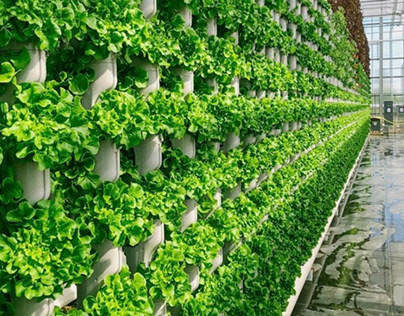 Important Benefits Offered by Vertical Farming Methods