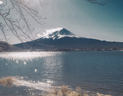 Fuji Mount