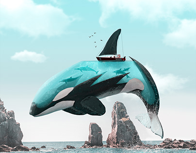 Aquanimal Orca - Julien Tabet