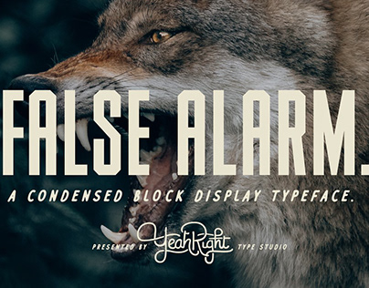 False Alarm Typeface