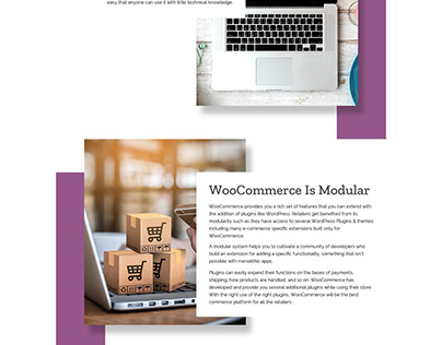Reasons to Choose WooCommerce for eCommerce Business