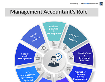Understand an Accountant's Role