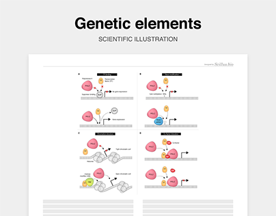 Scientific illustration of genetic elements II