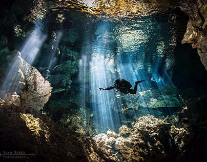 Cenote Diving | Godivemexico.com