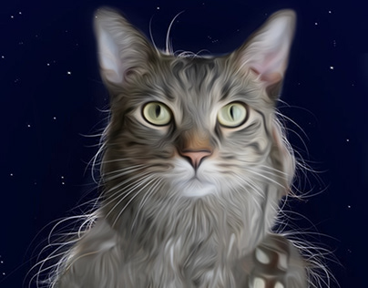 Custom cat drawing portrait