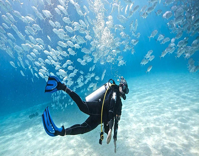 Scuba Diving In Andaman islands