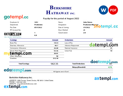 USA Berkshire Hathaway conglomerate pay stub template