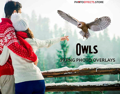 39 Owl Photo Overlays