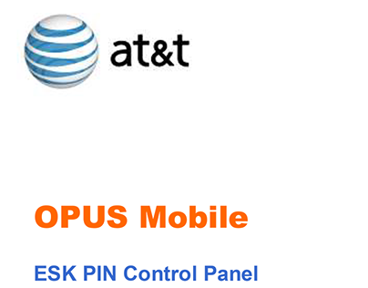 ESK Prepaid Pin Control Panel