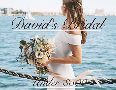 David's Bridal Online Advertisements (Student Project)