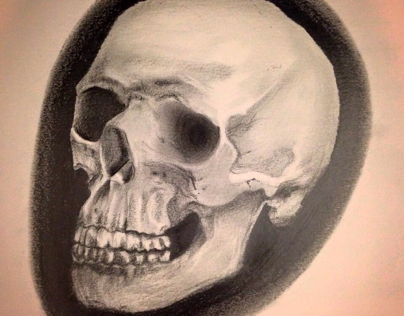 Traditional skull illustration 