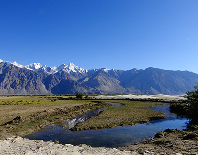 Himalayan Region: Nature & Wildlife Photography