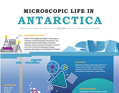 Microscopic Life In Antarctica - Infographic Poster