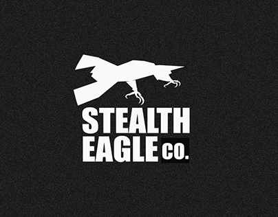 Stealth Eagle Military Drone - Branding