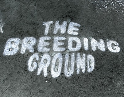 The Breeding Ground