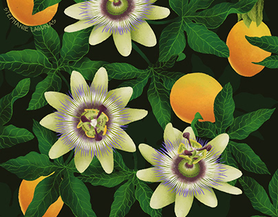 Flowers and surfaces patterns illustration