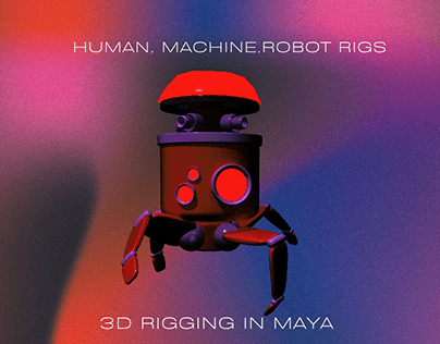 3D Rigging