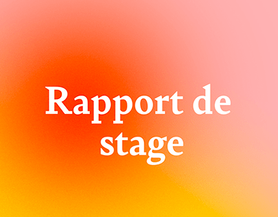 Rapport de stage - MIEU Concept Store